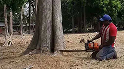 一手資源，原材料來自國外直采